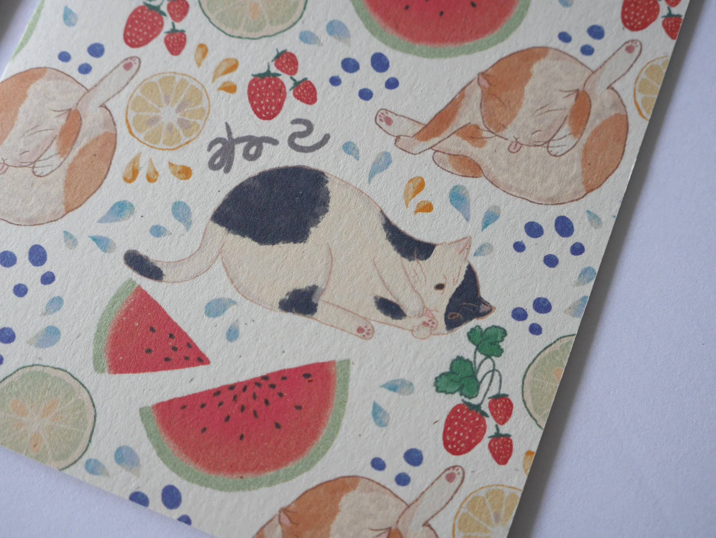 CatCon_Cats n Fruits_Detail.jpg