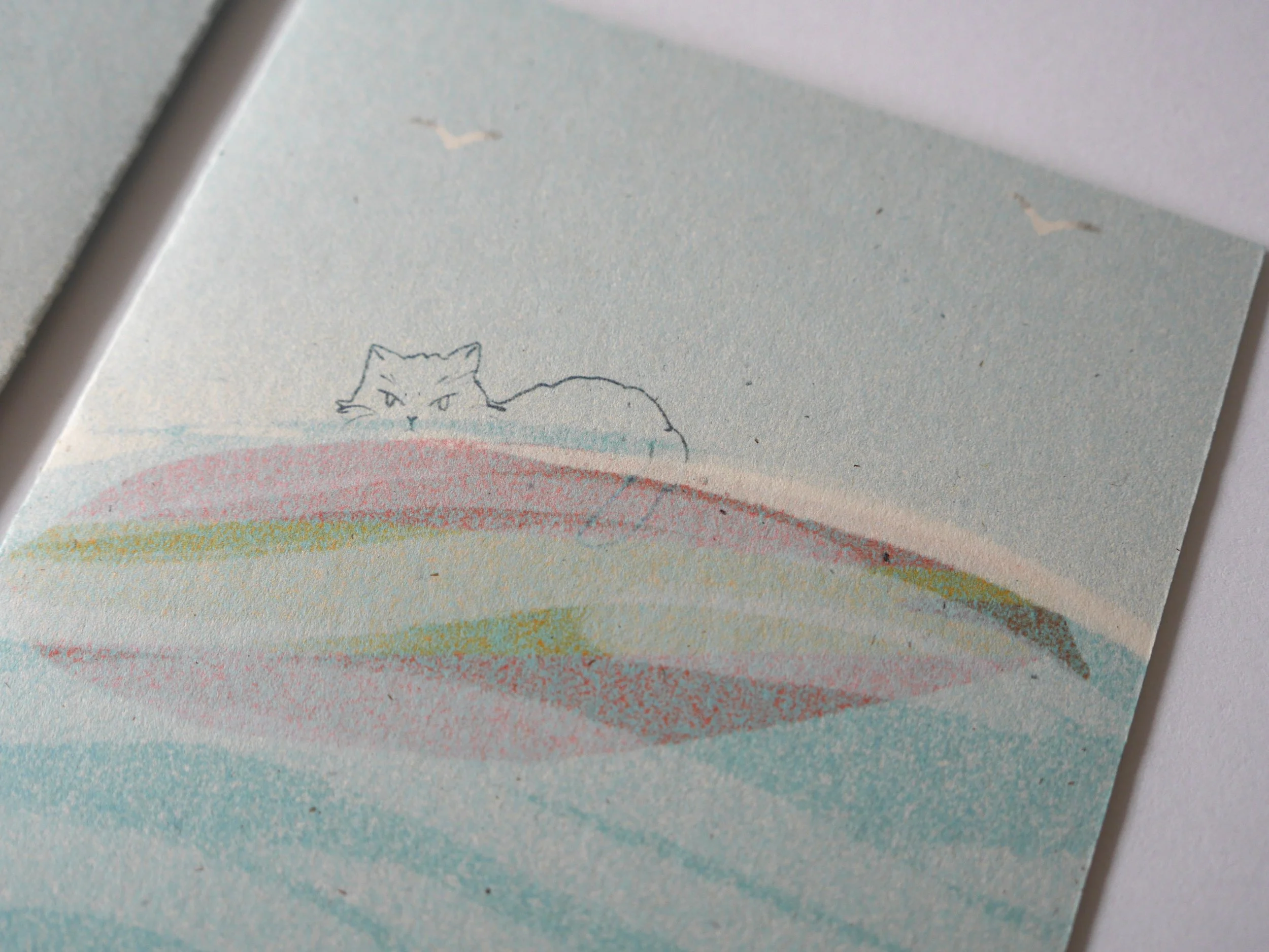 CatCon_Surf Cat_Detail.jpg