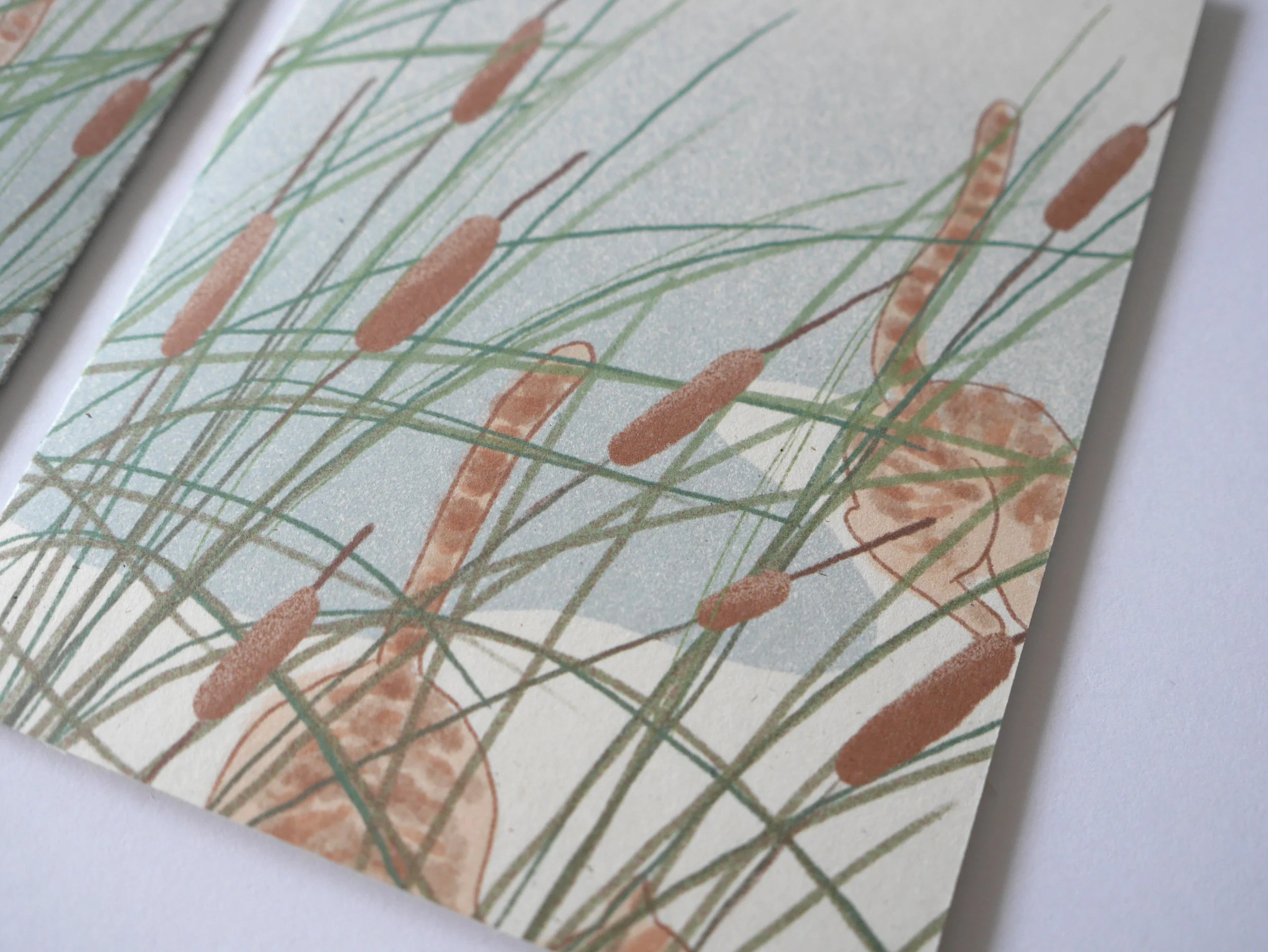 CatCon_Cattails_Detail.jpg