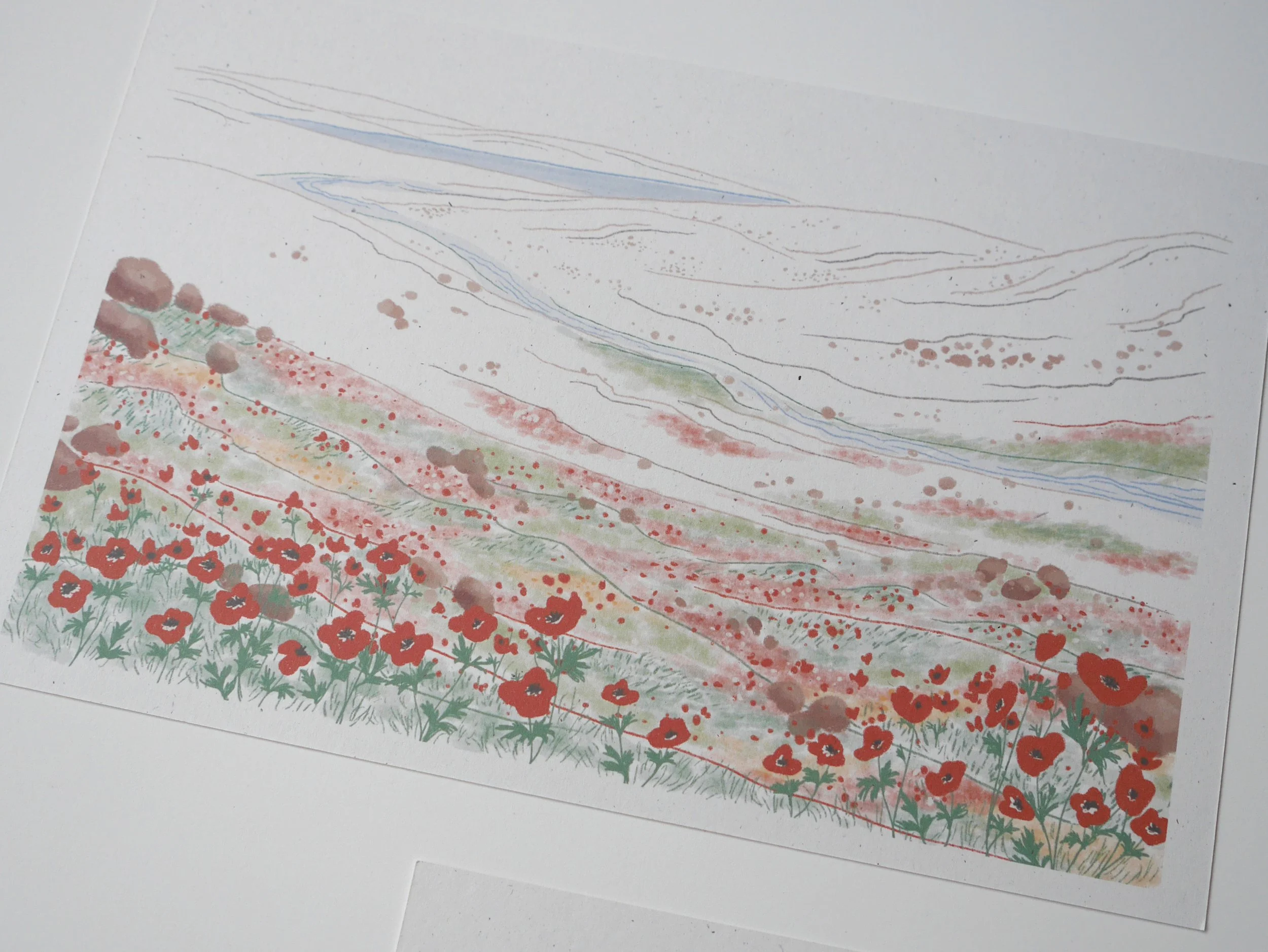Palestine Fundraiser_Art Print_Detail.jpg
