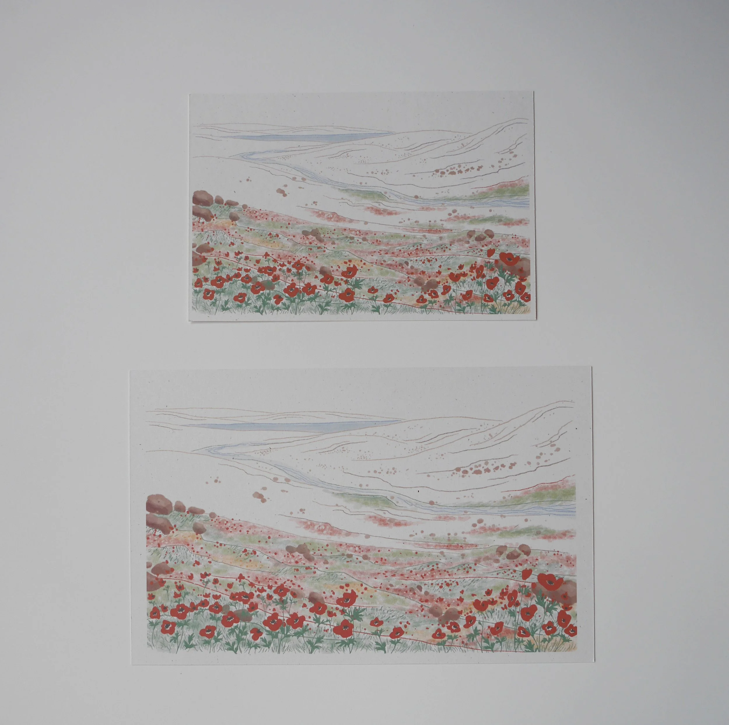 Palestine Fundraiser_Art Print.jpg