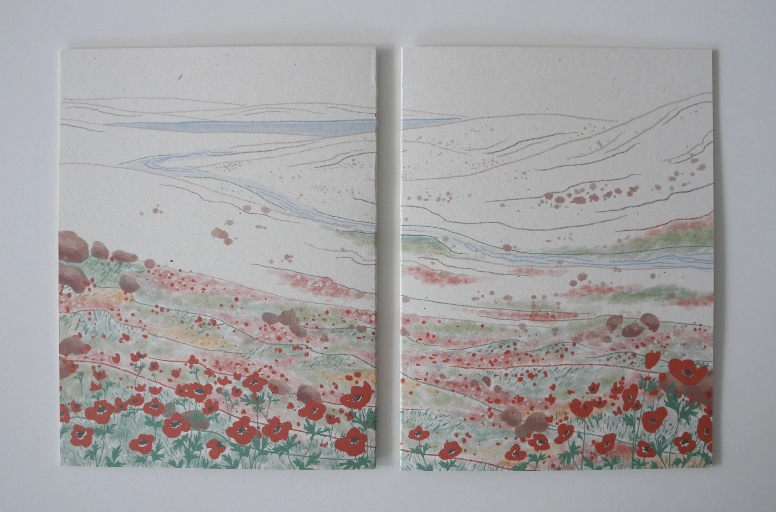 Free Palestine Card.jpg