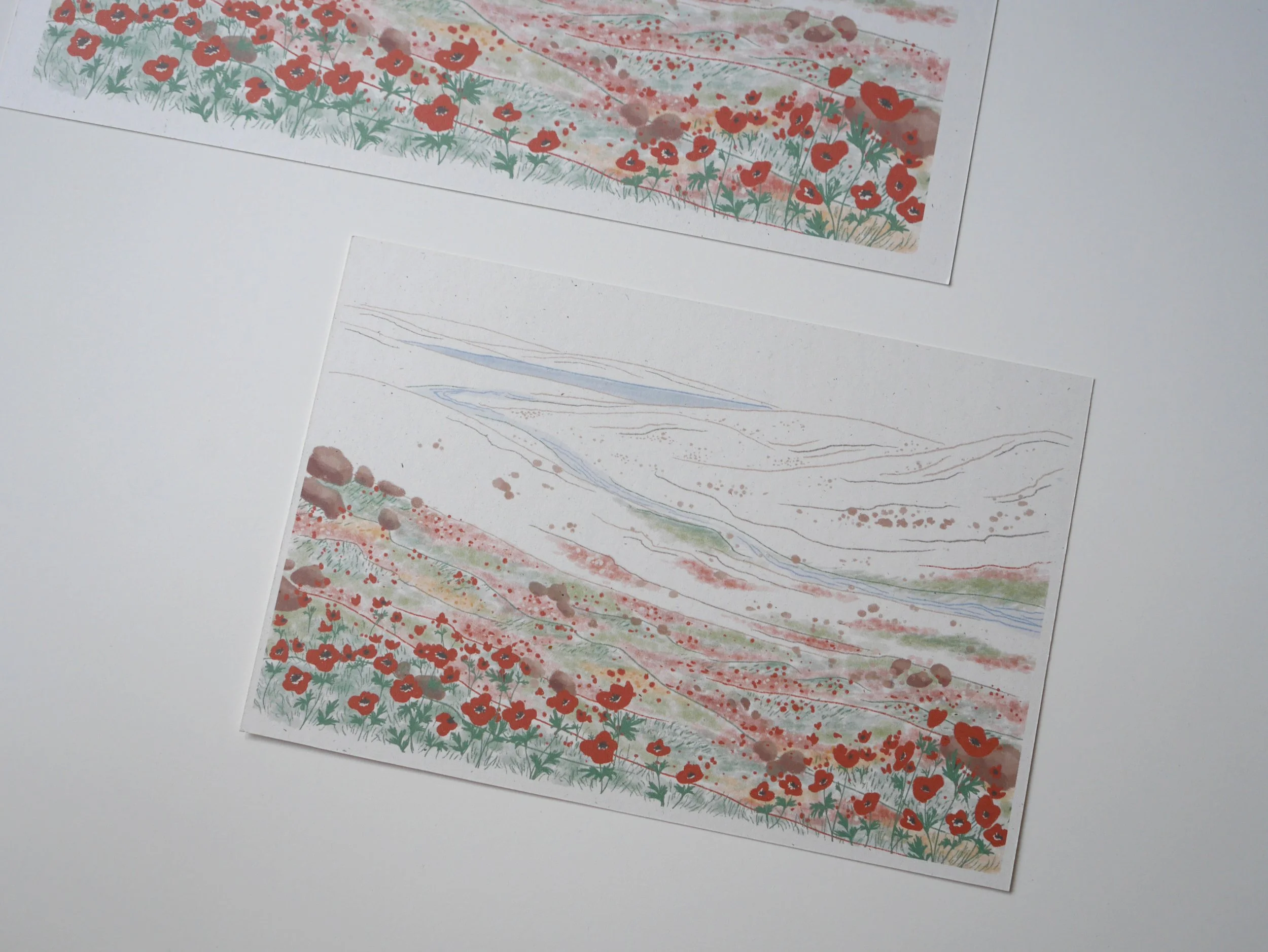 Palestine Fundraiser_Art Print_Detail 02.jpg