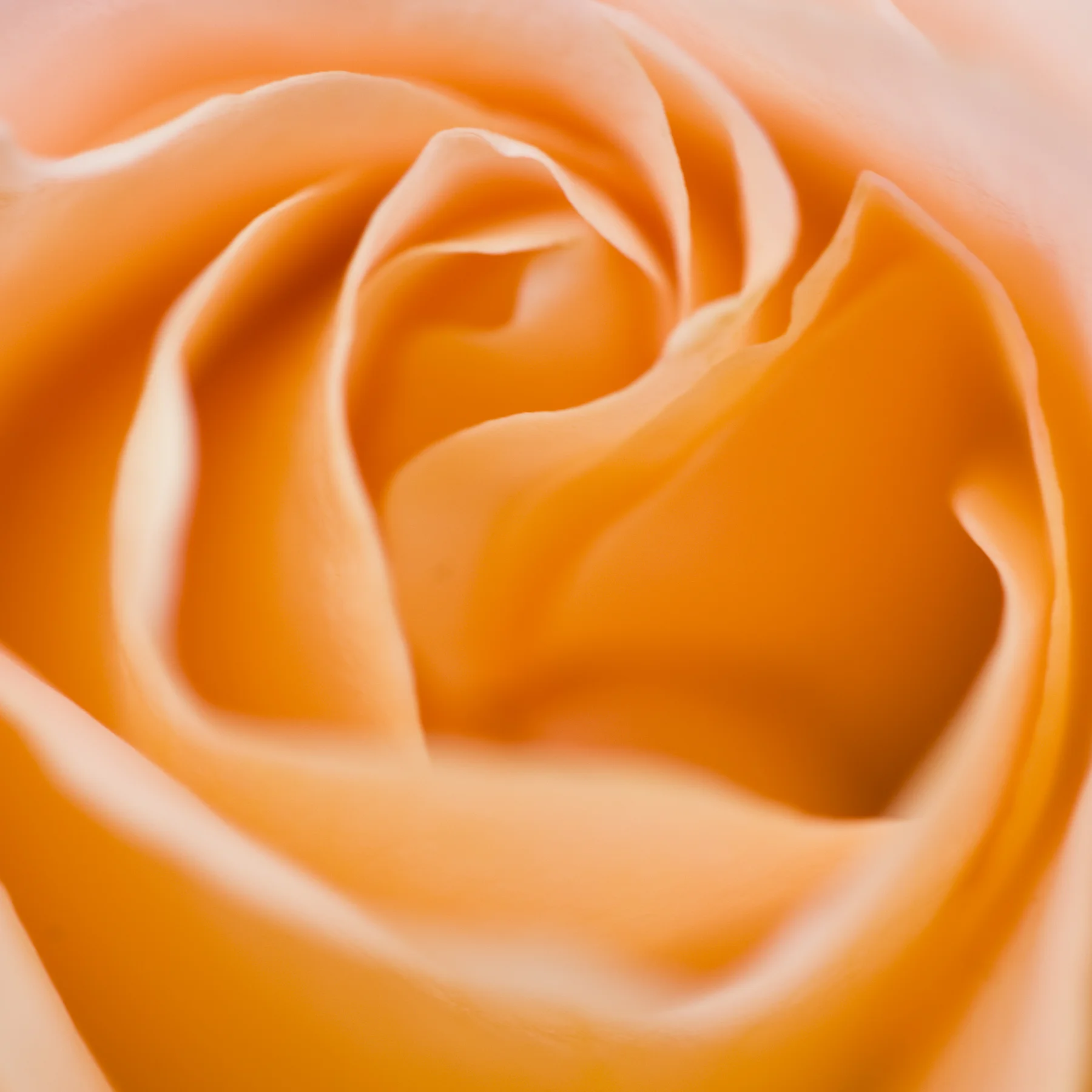 080523_154_C.jpg