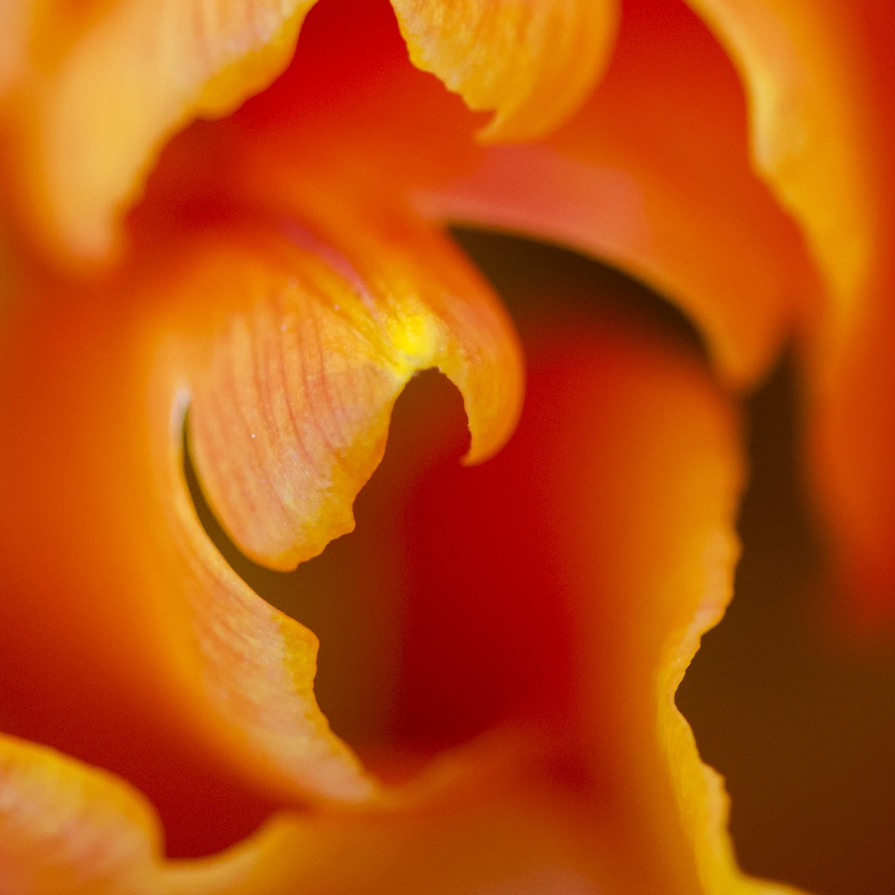 100308_363C.jpg