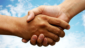 PARTNERSHIP OPPORTUNITIES