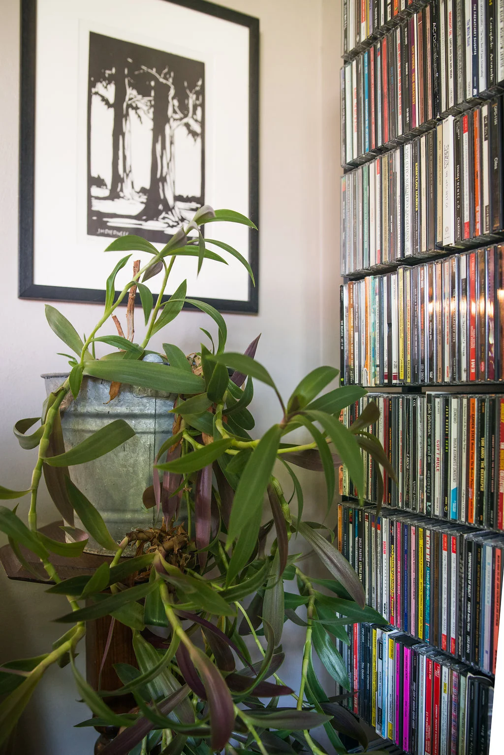 Pierneef. That's the name of the artist's work above my happy plant which sits in a little corner of our lounge. Pro tip: Anytime you come across a plant stand - buy it. 