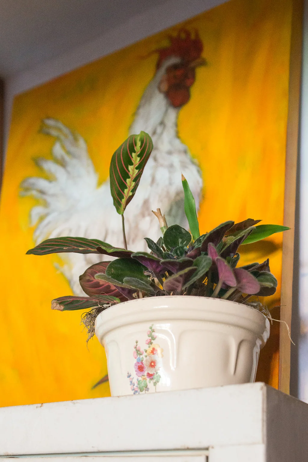 New meets old meets alive. I LOVE this dish and had to display it. Behind it is a painting by South African artist, Olaf Bisschoff .