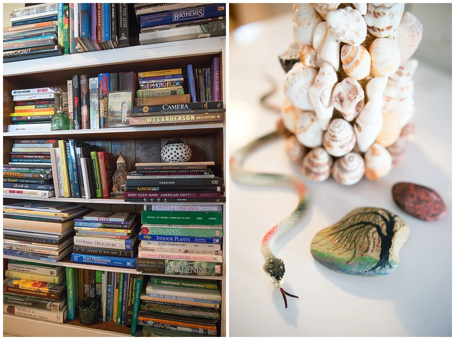 You can learn a lot about a person... photography books, gardening books and Wes Anderson. : ) The weeping willow rock on the right was snatched up by me from our painted rock artisan, Seven7s. She wasn't happy with her painting job and wasn't going to put this rock in the shop. But I thought it was perfect. Tytia had the most beautiful weeping willow tree in her yard but recently had to cut it down. I thought this would be a nice replacement. 