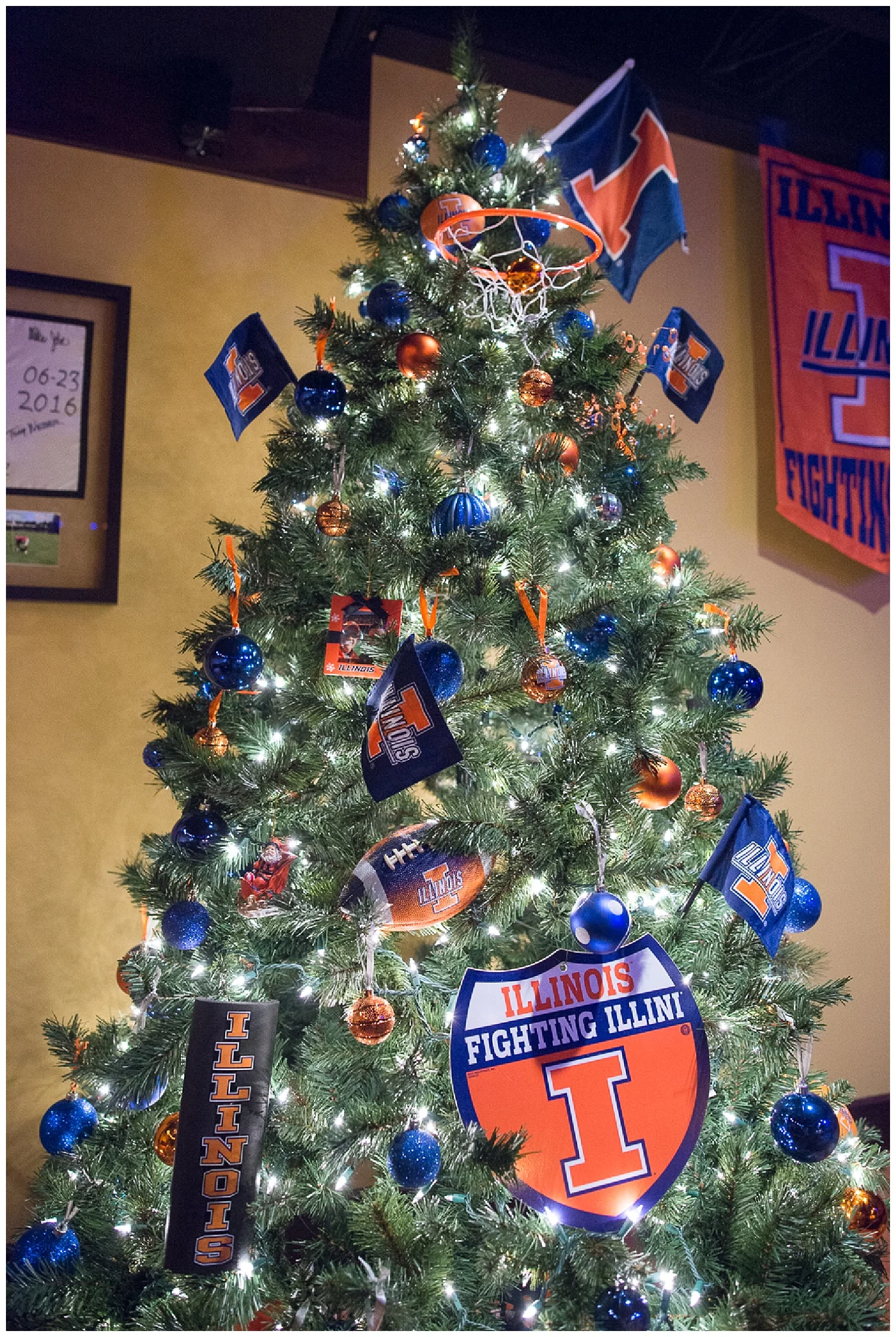 The U of I Tree is in the basement ready for the Braggin' Rights game. 