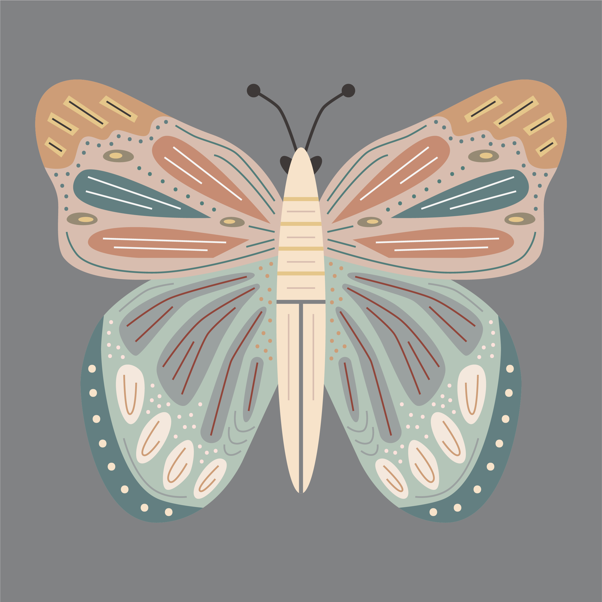 Vivid Butterfly.png