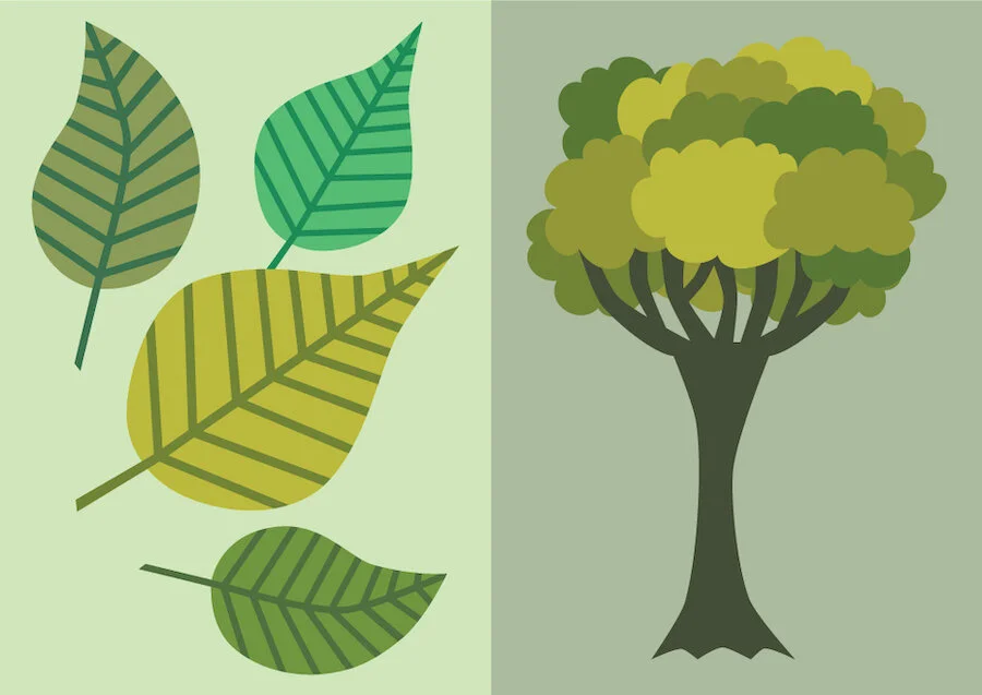 book_color-green.jpg