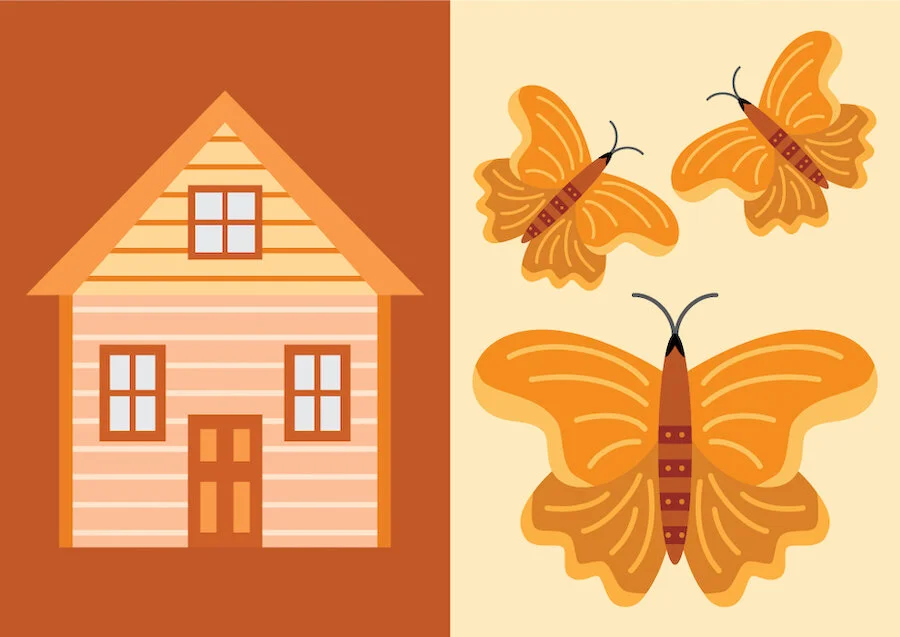 book_color-orange.jpg