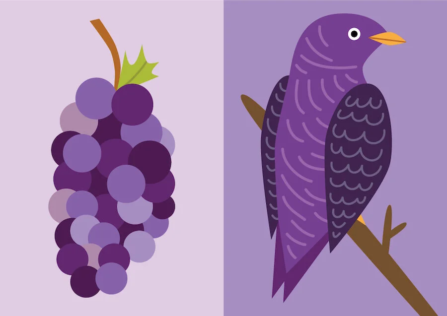 book_color-purple.jpg