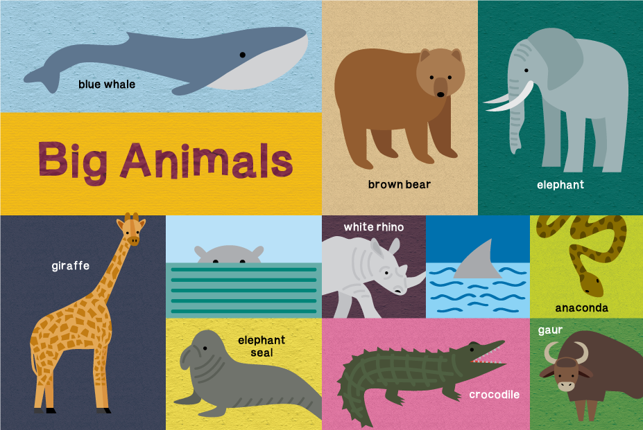 book_first animal_amy mullen 2.png