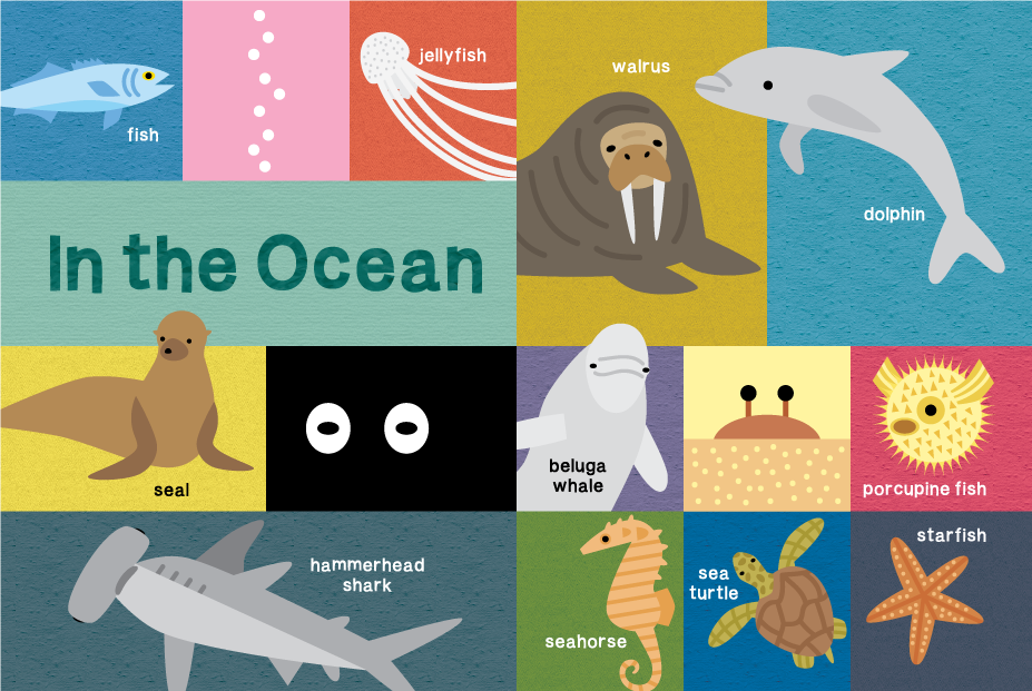 book_first animal_amy mullen 3.png