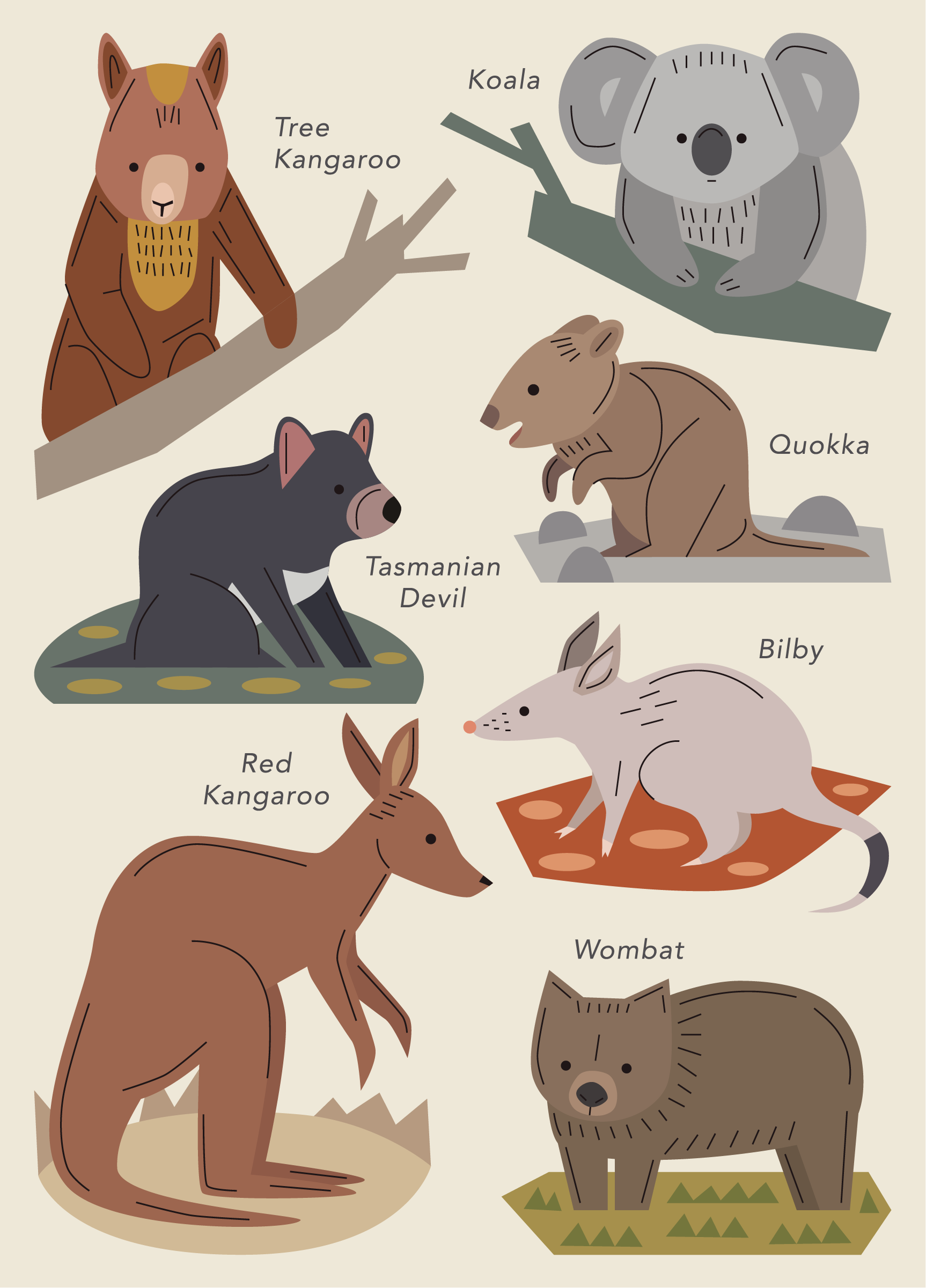 Aussie Marsupials.png