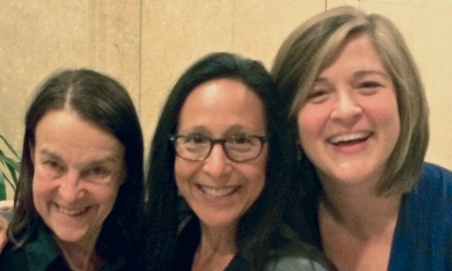 Breaking the Taboo: Song Cycle Gives Birth to a New Perspective