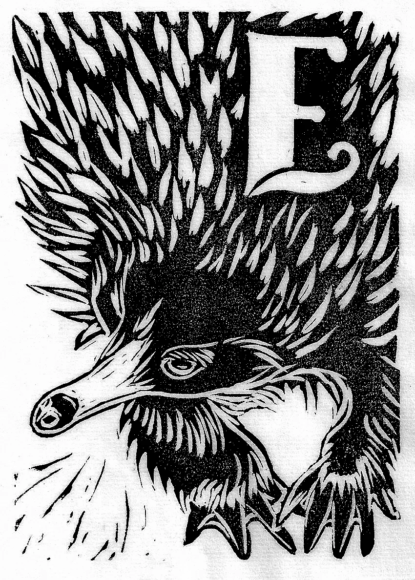Echidna