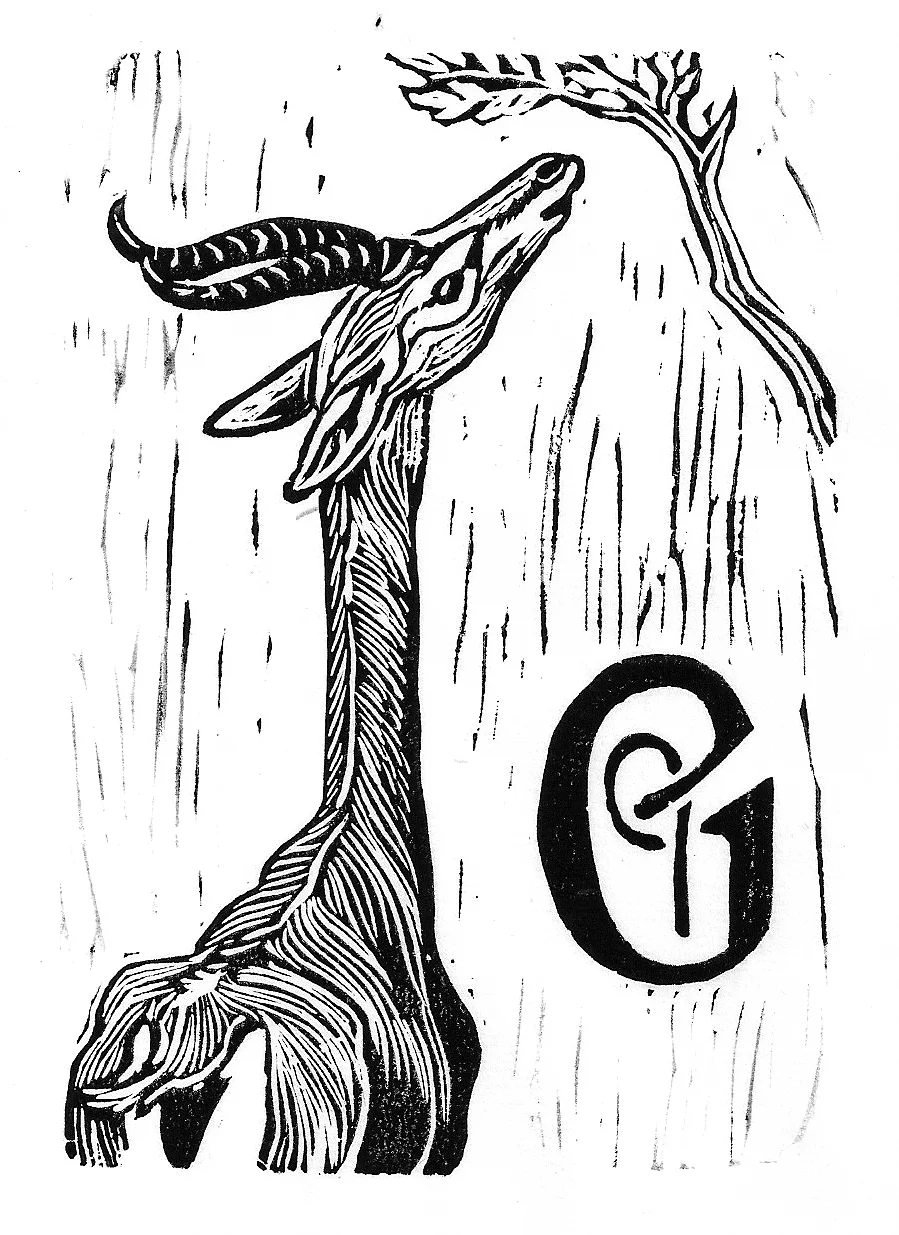 Gerenuk