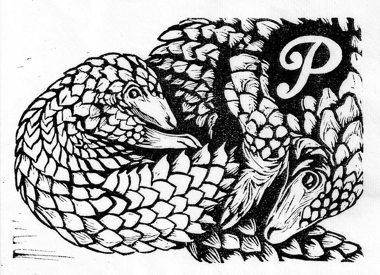 Pangolin