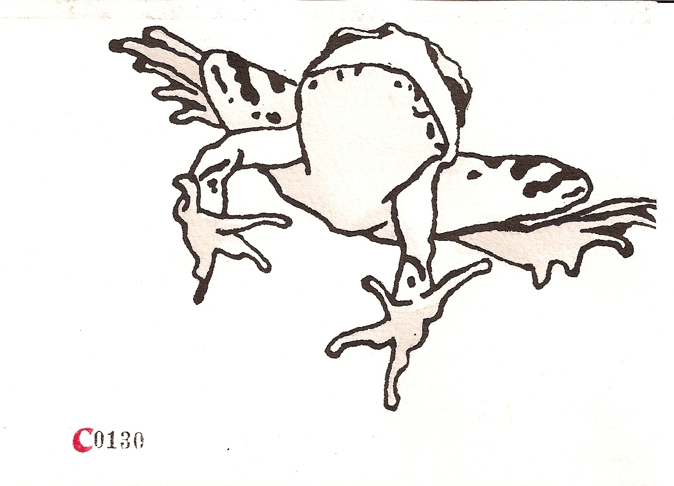 ink dropper frog