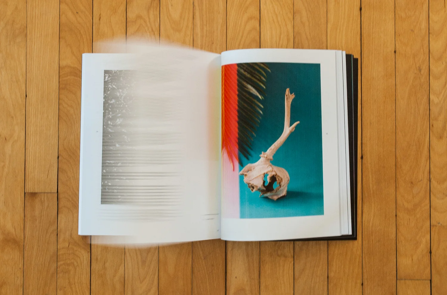 SKHaedrich_Conveyor_Issue5_Spread12.jpg
