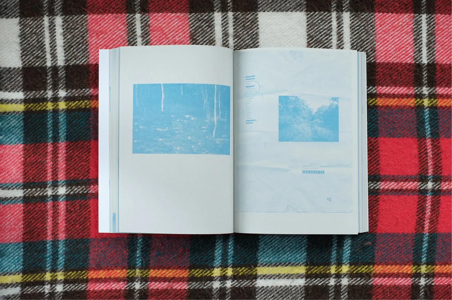 Transient