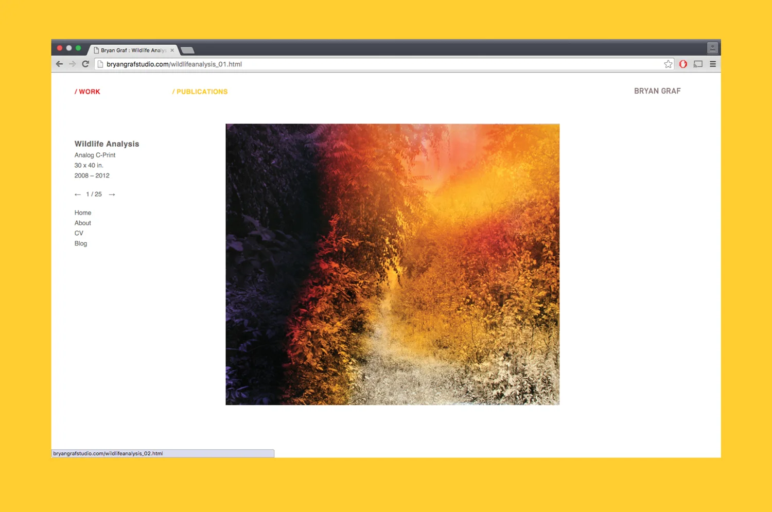 PATH_BGraf_Website_08.jpg