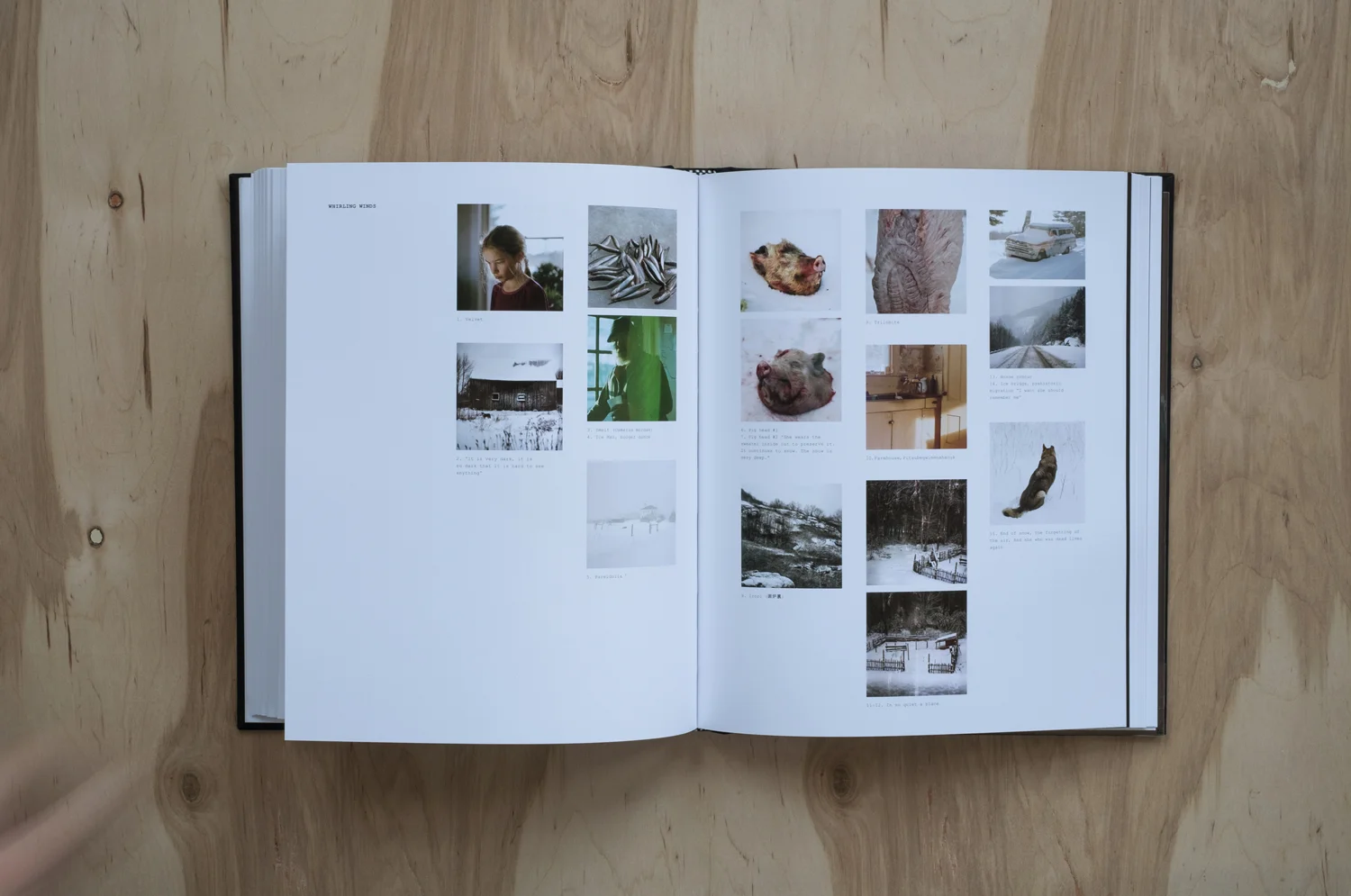 SKHaedrich_Snail-Press_Mawooshen_Spread-03.jpg