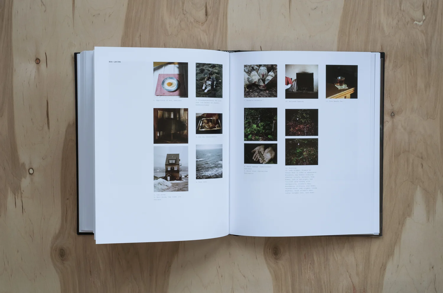 SKHaedrich_Snail-Press_Mawooshen_Spread-07.jpg