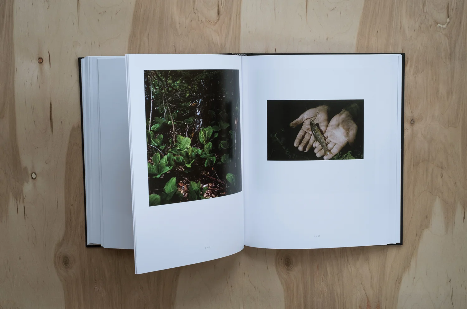 SKHaedrich_Snail-Press_Mawooshen_Spread-07.jpg
