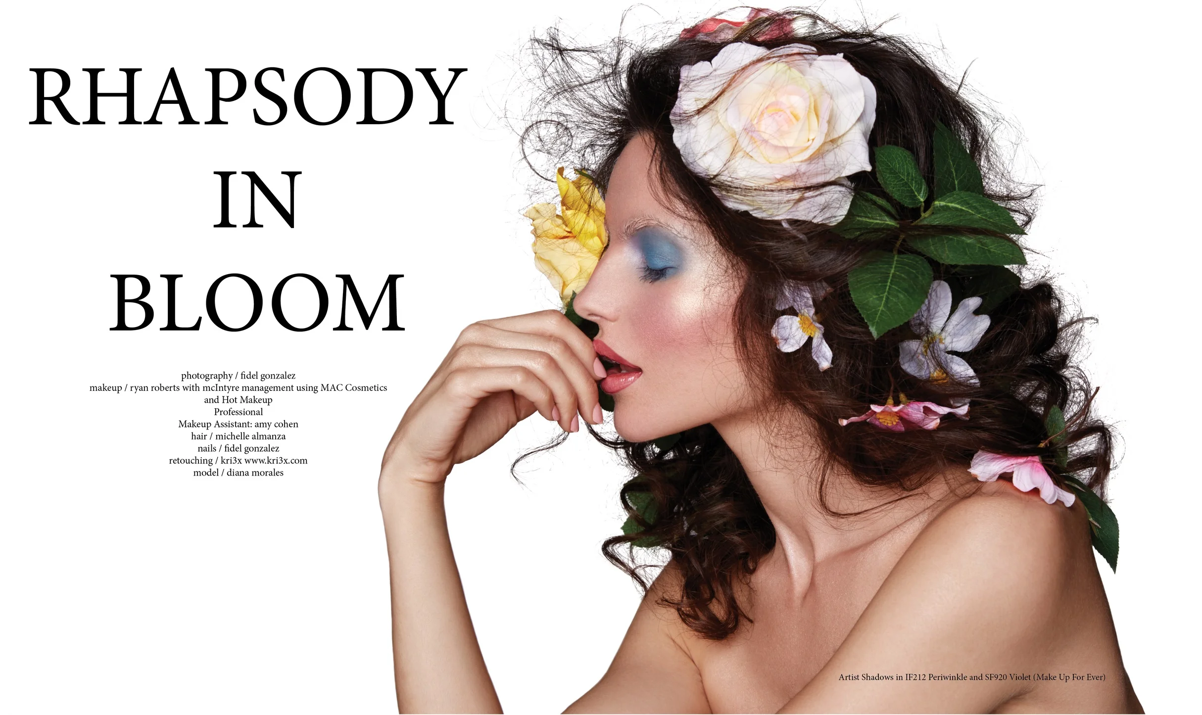 tearsheet1.jpg