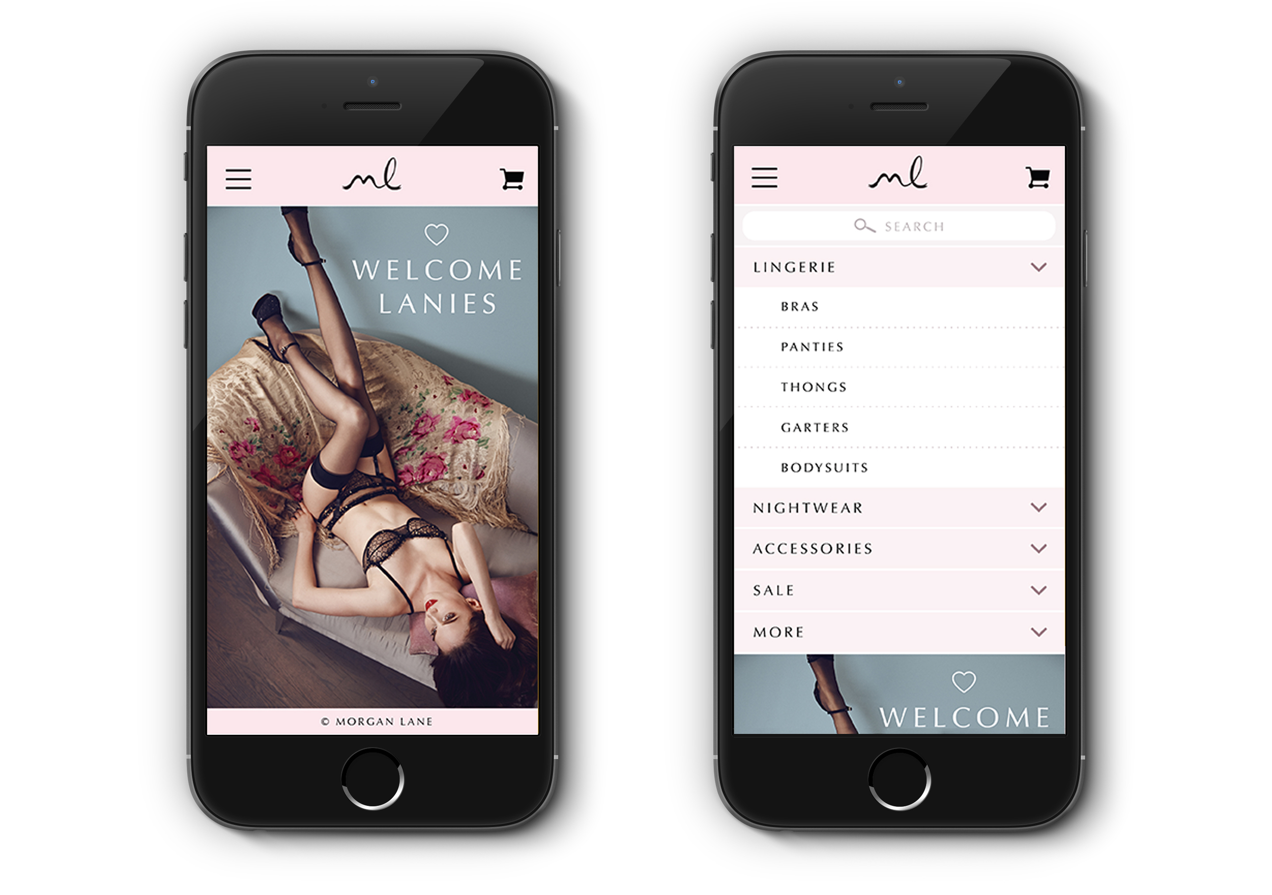 Home page and drop down navigation