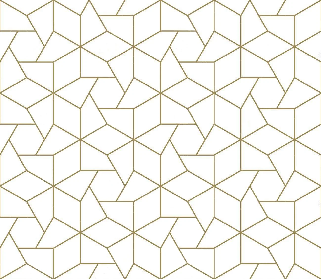 geometric-vector.jpg