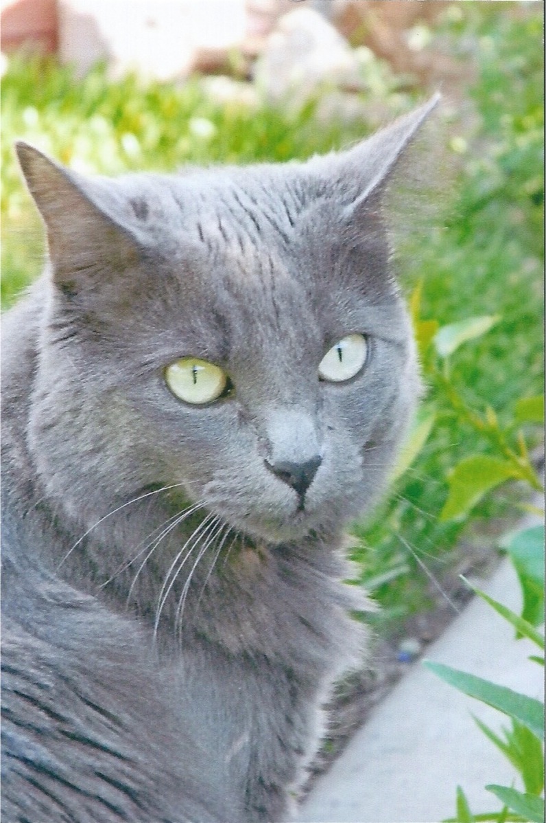 Ash is full of life and always keeps us on our toes.