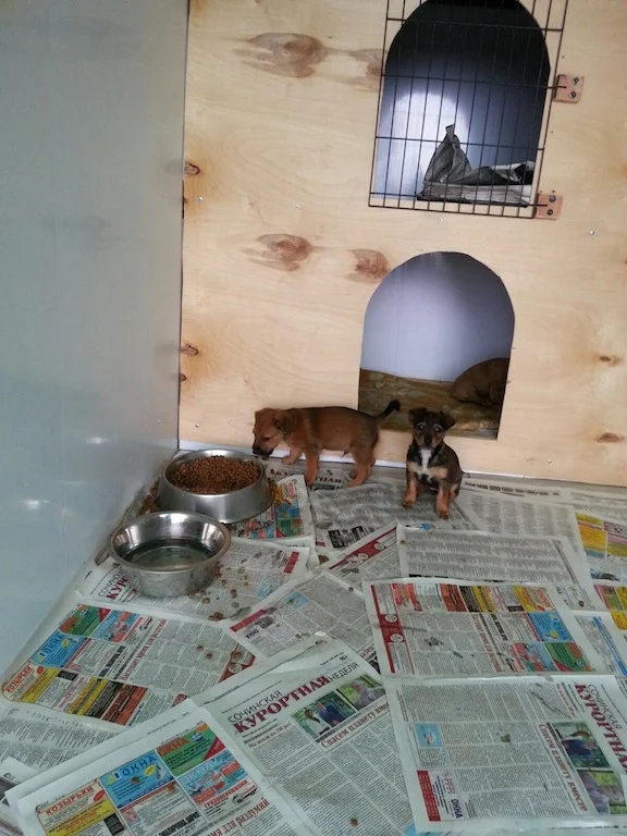      

 
   UPDATE: October 14 Rescue     
 0 
 0 
 1 
 51 
 291 
 Hadley 
 2 
 1 
 341 
 14.0 
  
  
 
       
 Normal 
 0 
 
 
 
 
 false 
 false 
 false 
 
 EN-US 
 JA 
 X-NONE 
 
  
  
  
  
  
  
  
  
  
  
 
 
  
  
  
  
  
  
  
  
  
  
  
