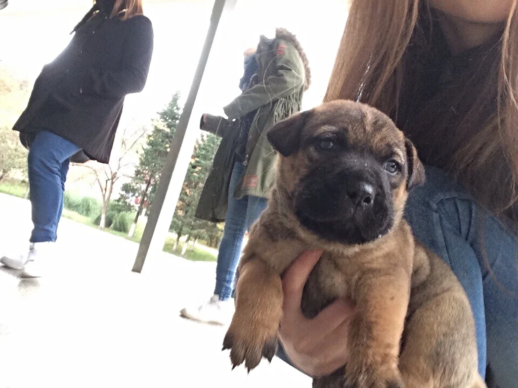      

 
    A Thanksgiving Day Rescue     
 






















    









































 

  
  
     

      

      
         
          
        
        

        
          
             
               View fullsize 
 