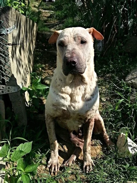      

 
    Linda is going to Poland on Friday!&nbsp;  
 






















    









































 

  
  
     

      

      
         
          
        
        

        
          
             
               Vie