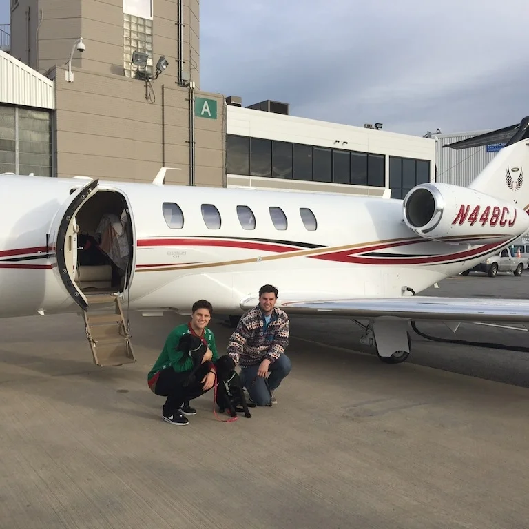      

 
   Extraordinary Christmas Story or How Brian and Cinders Travel Home  When Brian and Cinders were born on the 7th floor of an unfinished apartment building could they ever imagine that someone would care enough to rescue them and that in ju