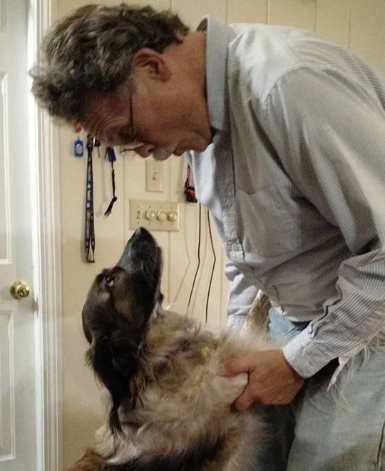 Sochi Dogs Adopter S Hub Sochi Dogs Rescue