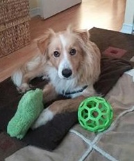 Abby, Toronto