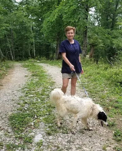 SochiDogs.jpg