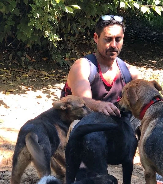 SochiDogs.jpg
