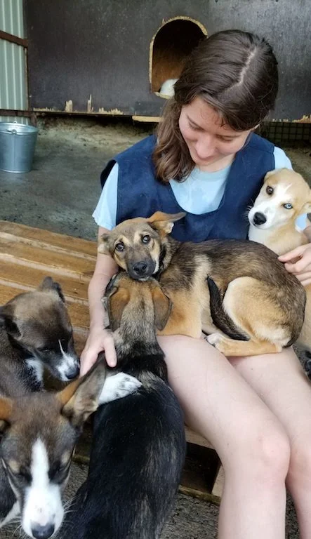 SochiDogs.jpg