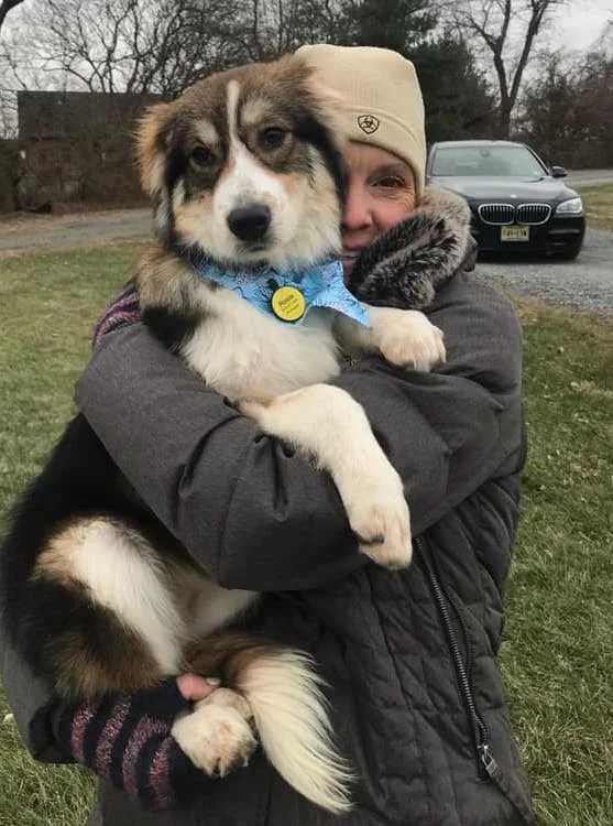 Rosie (Clover), New Jersey