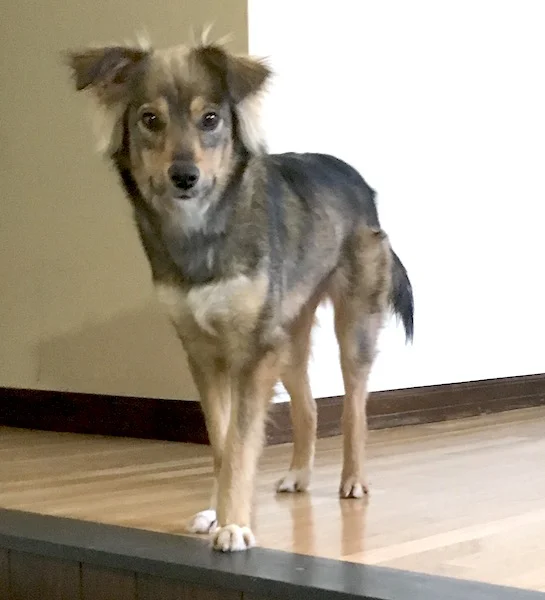 Tess (Bessie), New Jersey