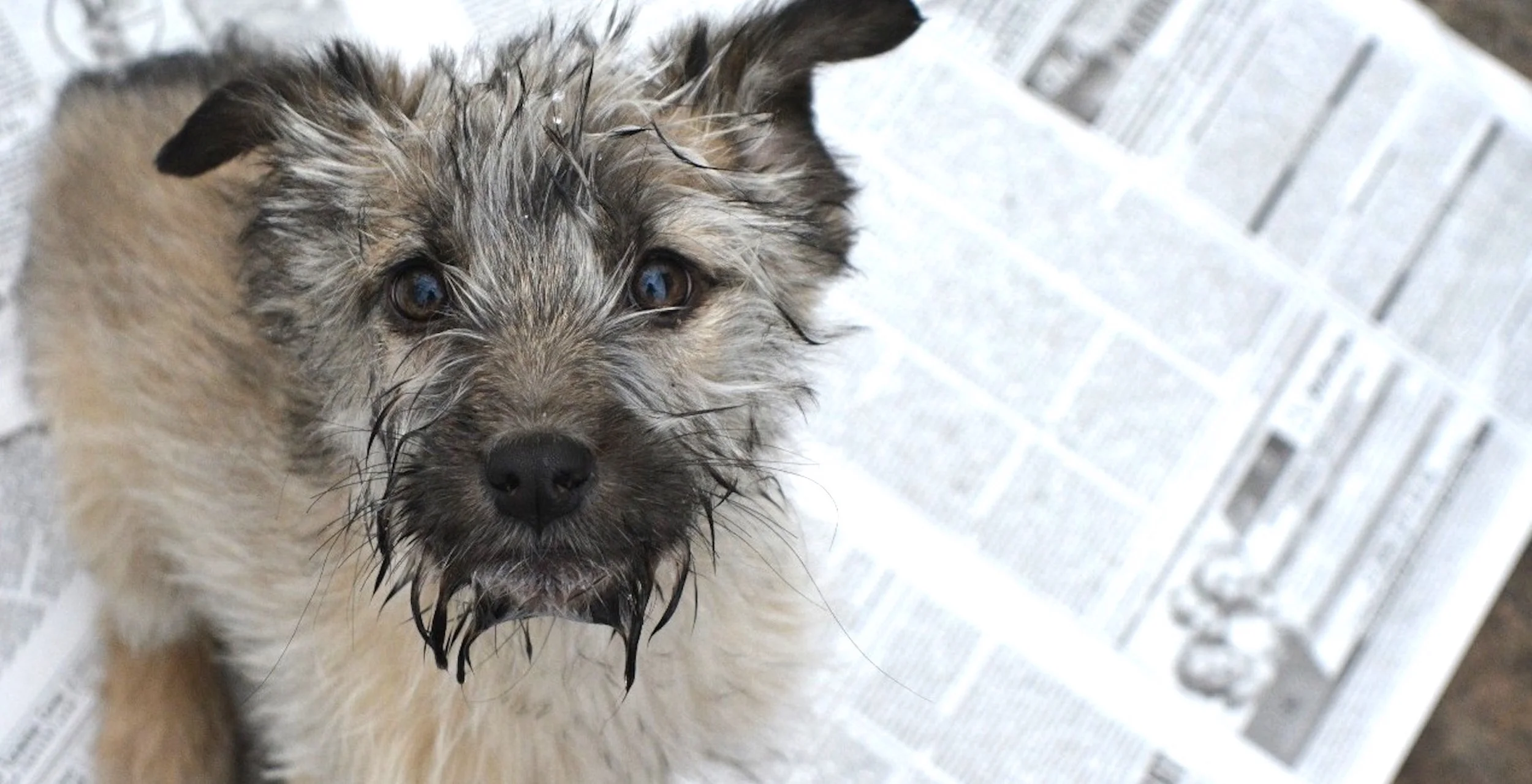 9d5b9906-a88e-4b6e-9671-d9c96eb7bb81 copy.jpg