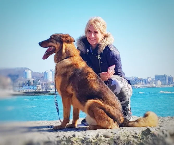 SochiDogs.jpg