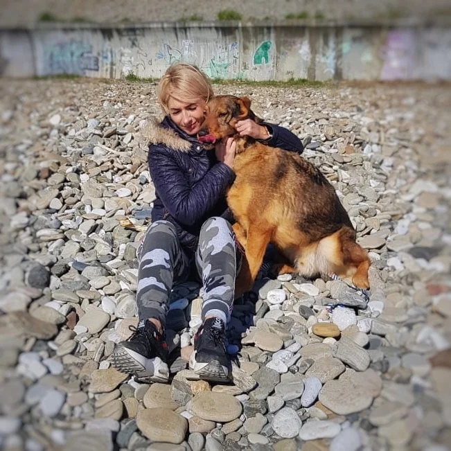 SochiDogs.jpg